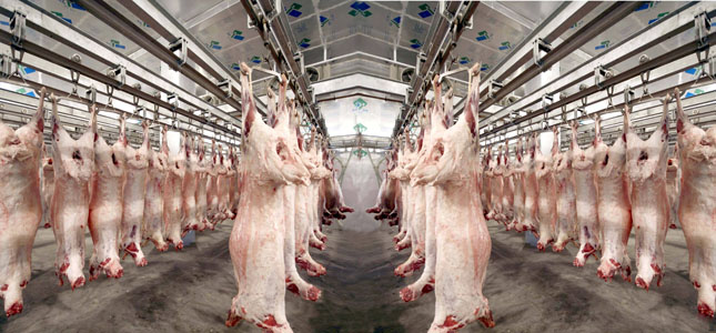 肉品质量安全信息RFID溯源系统