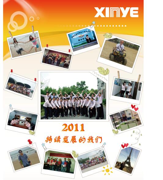 2011年,公司开始积极开拓海外市场 2011年,公司开始积极开拓海外市场