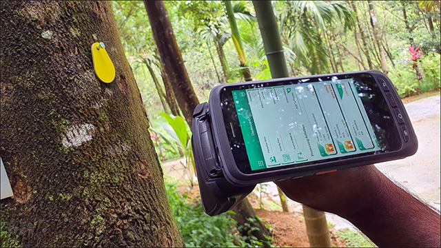 RFID技术助力树林防盗与实时监测管理系统